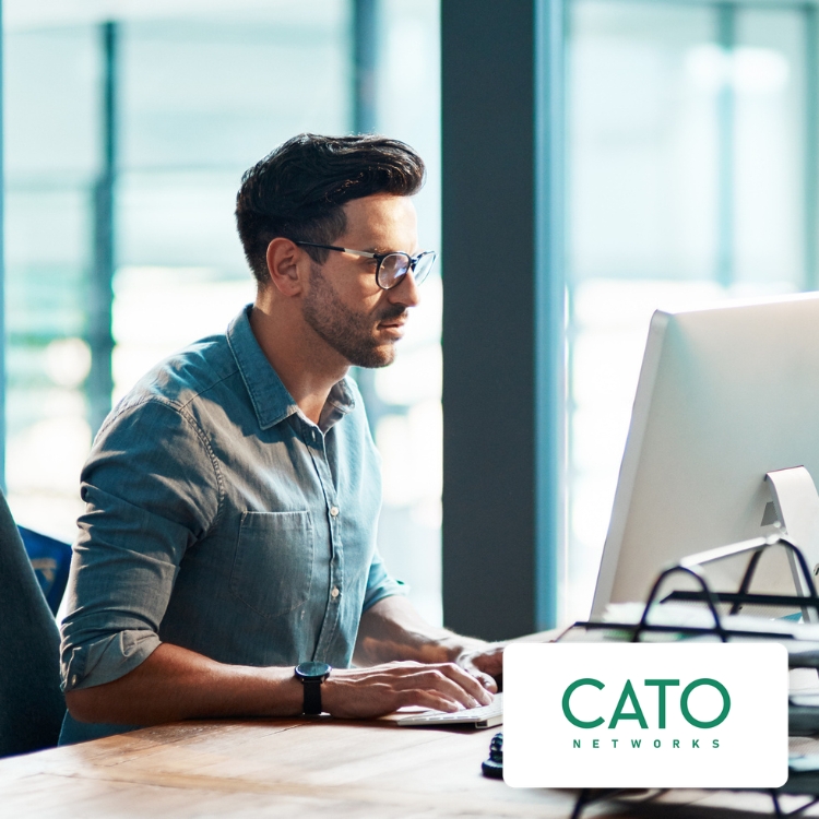A man in glasses focuses intently on a computer screen in a sunlit office. The Cato Networks logo appears in the corner.
